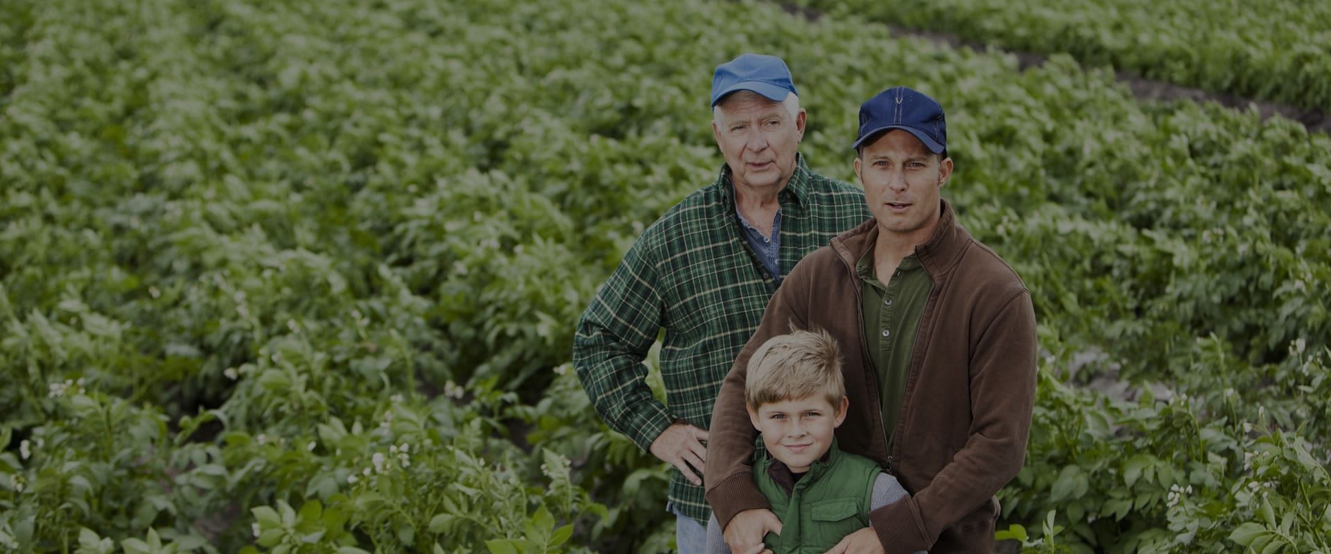Tres geracoes de uma familia de produtores lado a lado no meio da lavoura